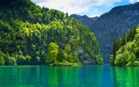 Fond Décran Des Arbres Paysage Forêt Lac Eau La Nature