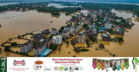 China Issues Highest Level Rainstorm Warning After Deadly Floods Cambodianess