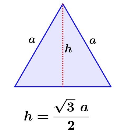 Height of an Equilateral Triangle - Formulas and Examples - Neurochispas