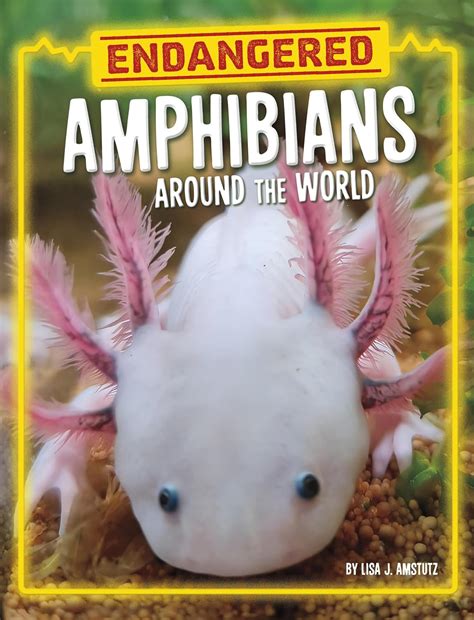 Endangered Amphibians Around the World : Amstutz, Lisa J.: Amazon.in: Books