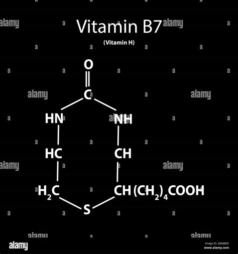 Vitamina B7 Biotina Fórmula química molecular Infografías