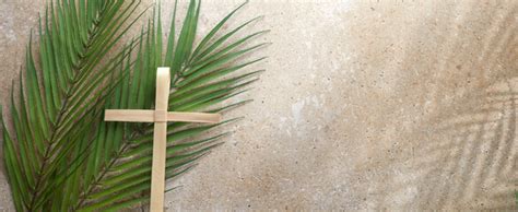 30 Free Palm Sunday Images Free Hd Downloads Pikwizard