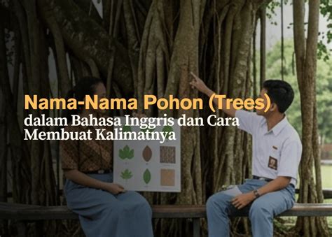 nama nama pohon trees  bahasa inggris   membuat