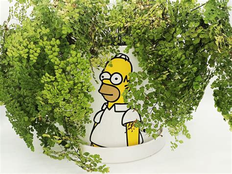 Homer Hedge Background - mypaperbleeds