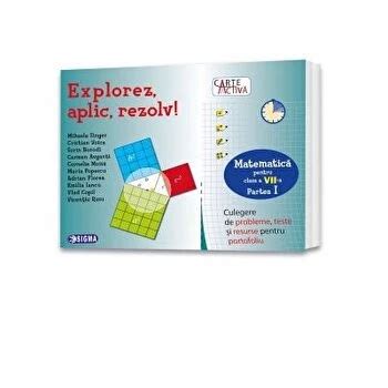 Carte Activa Explorez Aplic Rezolv Culegere De Probleme Teste Si