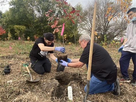 Growing Together: Partnering with One Tree Planted and NYC Parks for Tree Equity in Kissena Park ...