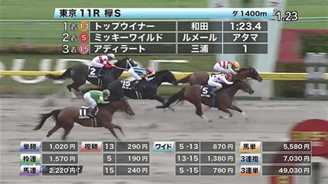 【530 欅sほか】東京ダイジェスト 競馬予想動画 Netkeiba