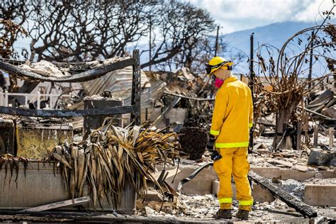 Latest Out Of Maui The Recovery Rebuilding Begins After Deadly Wildfires