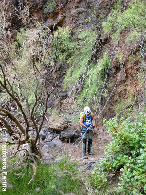 FRANCISCO FARIÑA II DESCENSO DEL BARRANCO DE LOS JUNCOS Y DE LOS PORQUEROS