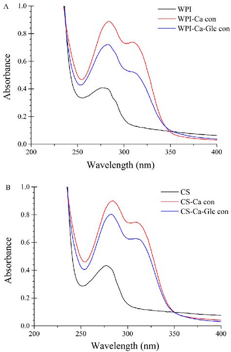 A The UV Vis Spectra Of The WPI WPI Ca Con WPI Ca Glc Con B The