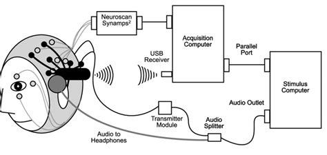 Schematic Diagram Of Simultaneous Research EEG System Neuroscan