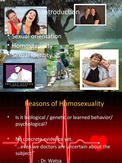 Sexual Orientation Homosexuality Sexual Identity Pdf