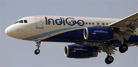 Airbus Vende 500 Aviones A IndiGo El Mayor Contrato De La Historia De