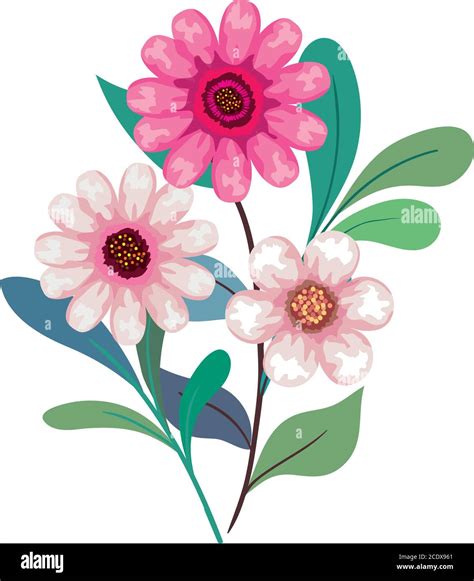 pink flowers drawing with leaves vector design Stock Vector Image & Art - Alamy