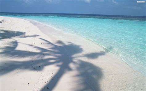 Maldives Beach Wallpaper - WallpaperSafari