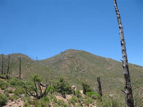 Anza Borrego Desert State Park Information - Anza Borrego