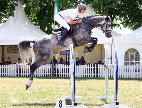 CORNETS PLEASURE VDL Siegt In Der Qualifikation Zum Bundeschampionat