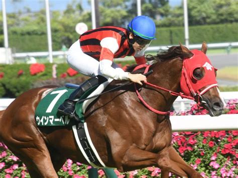 【シルクロードs見どころ】ウインマーベル、ナムラクレアら有力4歳馬が始動 競馬ニュース Netkeiba