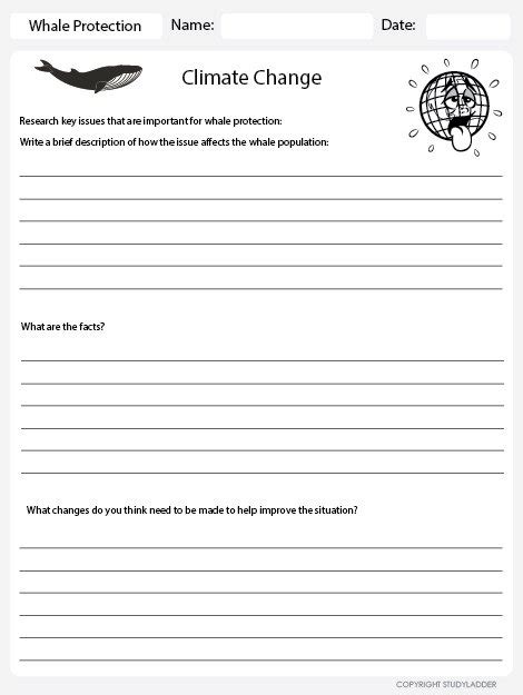 Environmental Issues Worksheets