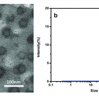 The Cytotoxicity Of Blank PLA PEG PLA 18K PEG DiHyd PLA 18K Micelles