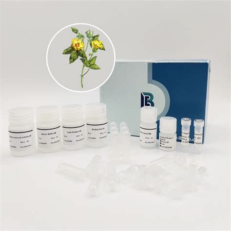 Improved Ctab Plant Genome Dna Rapid Extraction Kit For Plant Extract