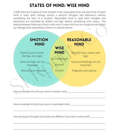 Dbt Worksheet States Of Mind Wise Mind Etsy Finland