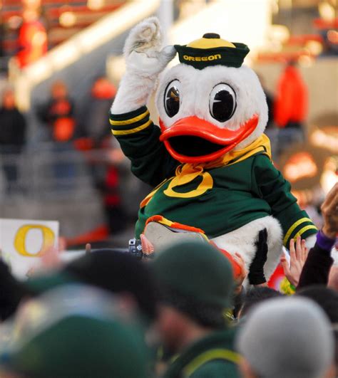 The Duck Celebrates University Of Oregon College Sports Oregon Ducks