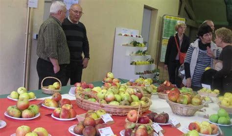 La Pomme Va Se Croquer à Pleines Dents à Neuvy Saint Sépulchre