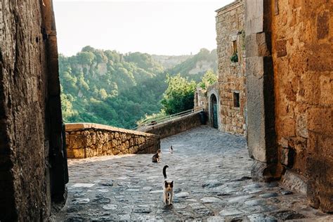 Civita Di Bagnoregio And Orvieto Private Day Trip From Rome