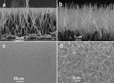 Sem Images Of The Cross Section Of Zno Nanowire Arrays With Respect To