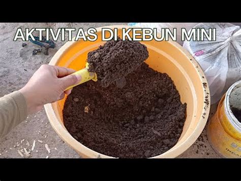 Panen Kompos Penyubur Tanaman Dari Limbah Dapur Berkebun Bioglass Mci