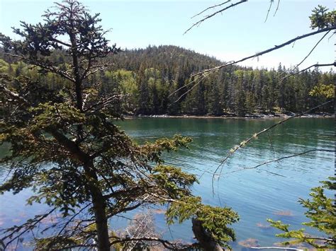 Duck Harbor Campground, Acadia National Park - Recreation.gov