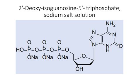 2′ Deoxy Isoguanosine 5′ Triphosphate Sodium Salt Solution