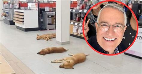 Ante La Ola De Calor Ricardo Salinas Pliego Ordena Que Perros Y Gatos