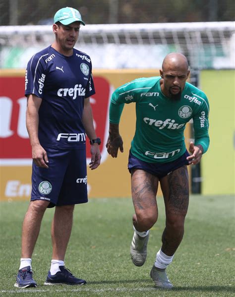 Palmeiras Se Reapresenta Veja Fotos Gazeta Esportiva