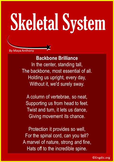 Short Rhyming Poems About The Skeletal System Engdic