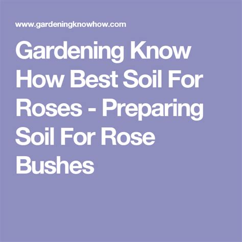 The Ultimate Guide To Soil For Roses