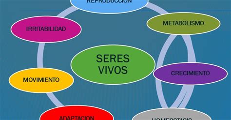 Biolog A Bloque Clase Caracter Sticas De Los Seres Vivos The