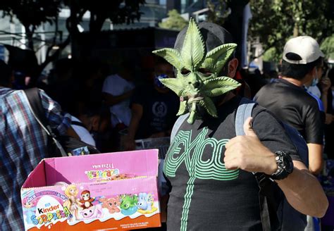 Legalización Del Cannabis En México Un Paso Para Contener La Guerra Contra Las Drogas