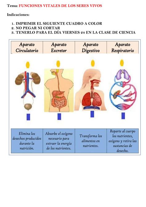 FUNCIONES VITALES DE LOS SERES VIVOS 4TO PDF