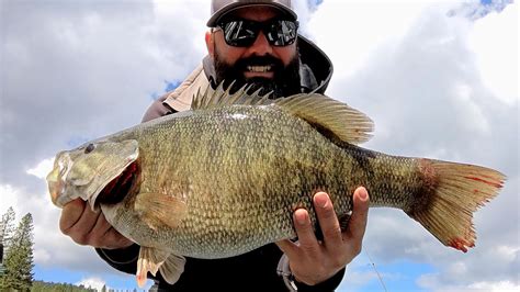 Idaho Angler Lands Largest Catch And Release Smallmouth Bass On Record