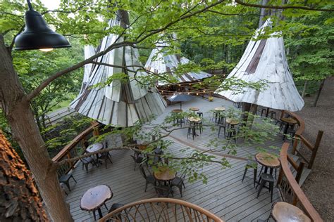 Treehouse Cafe — Blueberry Treehouse Farm