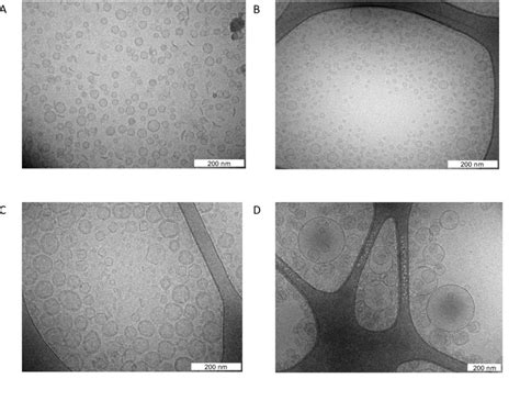 Figure S Cryo Tem Images Of The Liposome Samples For A Dlpc B