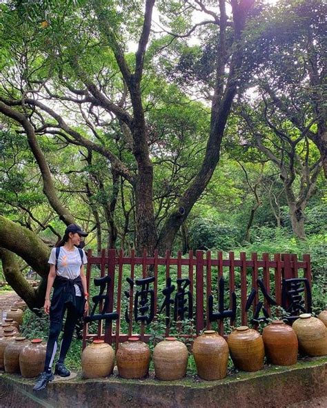 五酒桶山步道 桃園觀光導覽網