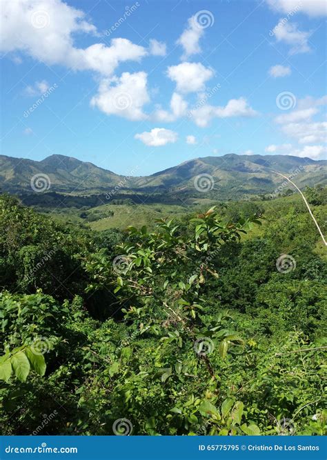 Natural View, no filter! stock image. Image of pico, filter - 65775795