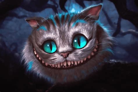 bundinn skáldskapur þráðlaus gato sonriente alicia en el pais de las