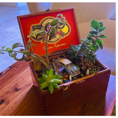 7 Great Ways To Repurpose Your Cigar Box