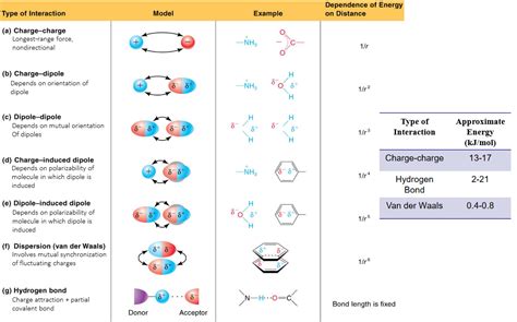 14 Intermolecular Interactions Bs1005 Cm1051 Biochemistry I