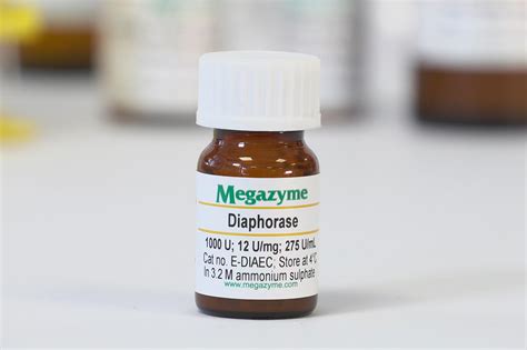 Diaphorase Escherichia coli Enzyme | Megazyme