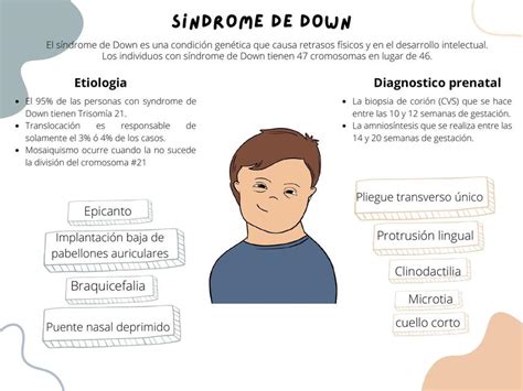 Resúmenes de Braquiocefálicos Descarga apuntes de Braquiocefálicos